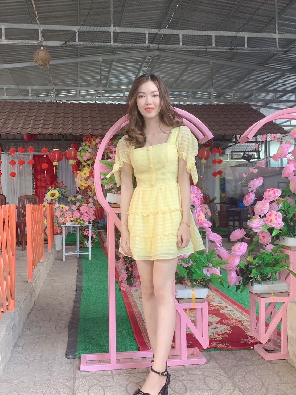 Lê Yến Hồng 樂顏紅